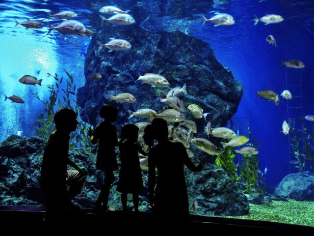 post_capetown_01 https://wspa-travel.ncoder.smallhost.pl/wp-content/uploads/2018/08/post_capetown_01-640x480.jpg